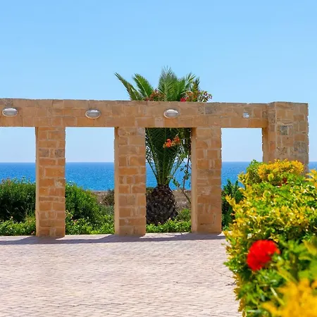 Seafront Violetta プロタラス