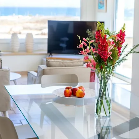 Seafront Violetta * プロタラス