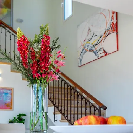 Seafront Violetta * プロタラス